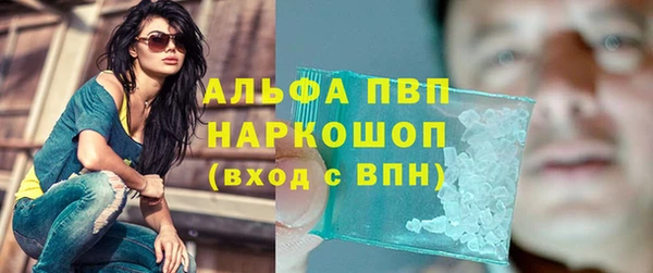 ПСИЛОЦИБИНОВЫЕ ГРИБЫ Заводоуковск