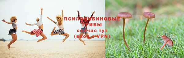гидра Лагань