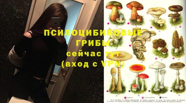 трава Лабытнанги