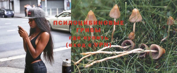 гидра Лагань