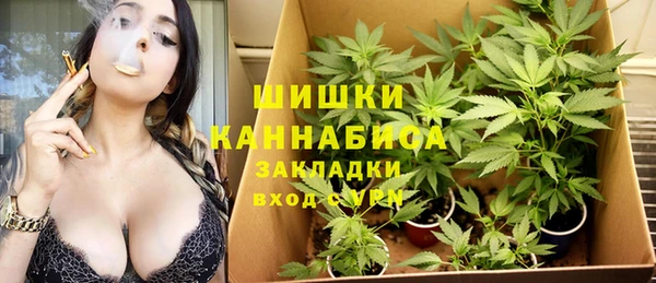 ПСИЛОЦИБИНОВЫЕ ГРИБЫ Заводоуковск
