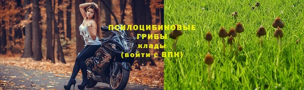 винт Заволжск