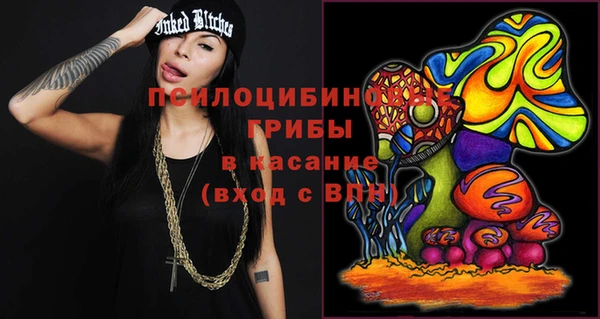 трава Лабытнанги