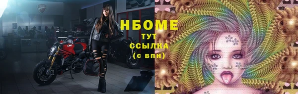 гидра Лагань
