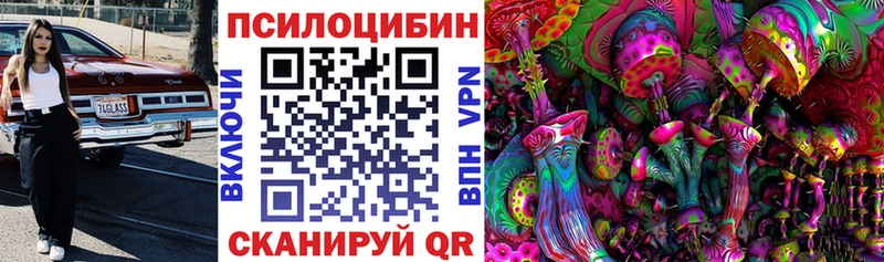 Псилоцибиновые грибы Cubensis  Стерлитамак 