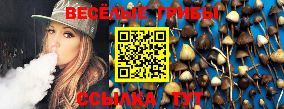 Псилоцибиновые грибы Psilocybe Стерлитамак